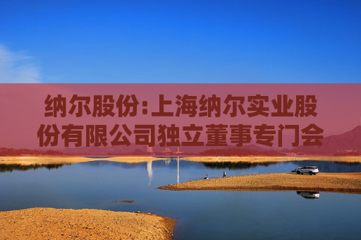 纳尔股份:上海纳尔实业股份有限公司独立董事专门会议2025年第一次会议决议
