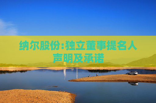 纳尔股份:独立董事提名人声明及承诺