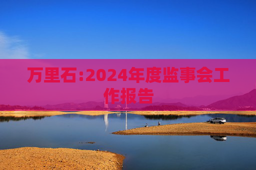 万里石:2024年度监事会工作报告