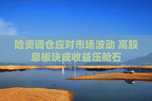 险资调仓应对市场波动 高股息板块成收益压舱石