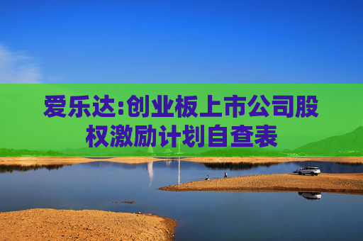 爱乐达:创业板上市公司股权激励计划自查表