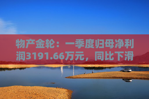 物产金轮：一季度归母净利润3191.66万元，同比下滑7.43%