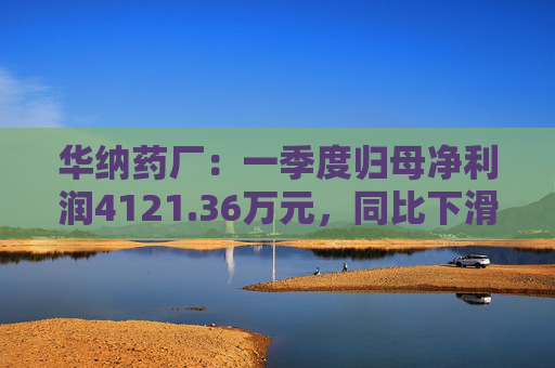 华纳药厂：一季度归母净利润4121.36万元，同比下滑31.37%