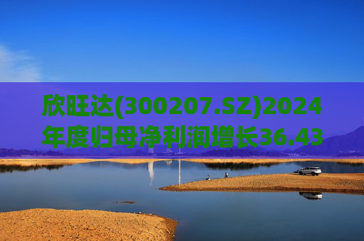 欣旺达(300207.SZ)2024年度归母净利润增长36.43%至14.68亿元，动力电池出货量合计25.29GWh