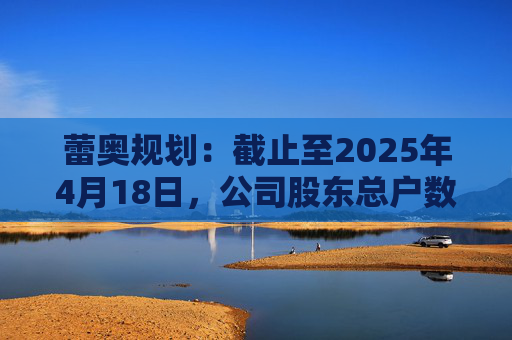 蕾奥规划：截止至2025年4月18日，公司股东总户数12,043户  第1张