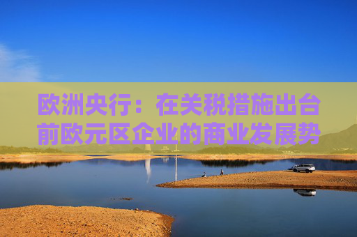 欧洲央行：在关税措施出台前欧元区企业的商业发展势头有所改善  第1张