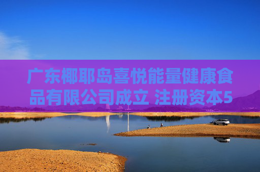 广东椰耶岛喜悦能量健康食品有限公司成立 注册资本500万人民币