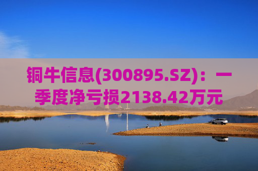 铜牛信息(300895.SZ)：一季度净亏损2138.42万元
