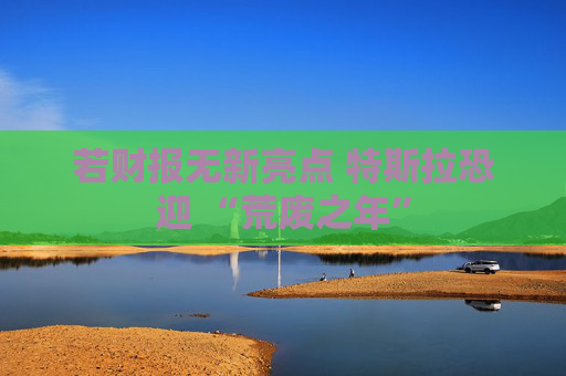 若财报无新亮点 特斯拉恐迎 “荒废之年”