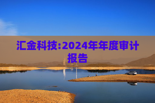 汇金科技:2024年年度审计报告  第1张