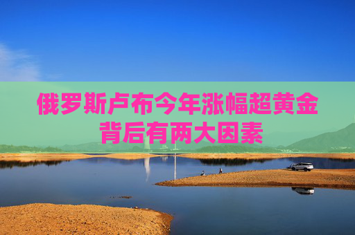 俄罗斯卢布今年涨幅超黄金 背后有两大因素