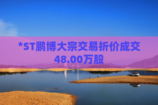 *ST鹏博大宗交易折价成交48.00万股