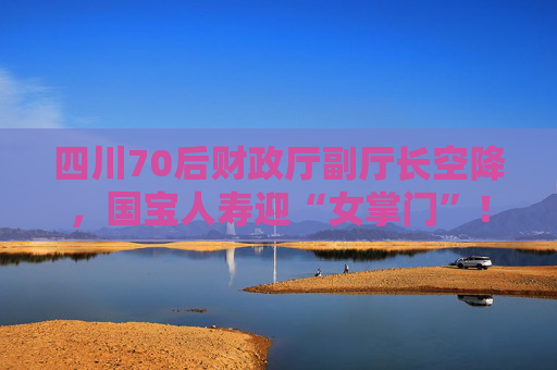 四川70后财政厅副厅长空降，国宝人寿迎“女掌门”！曾任自贡副市长四年  第1张
