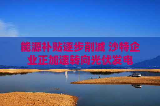 能源补贴逐步削减 沙特企业正加速转向光伏发电