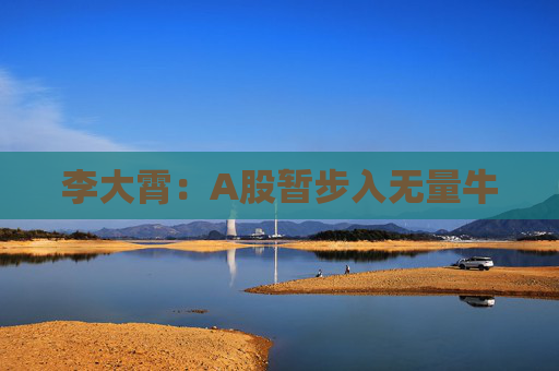 李大霄：A股暂步入无量牛  第1张