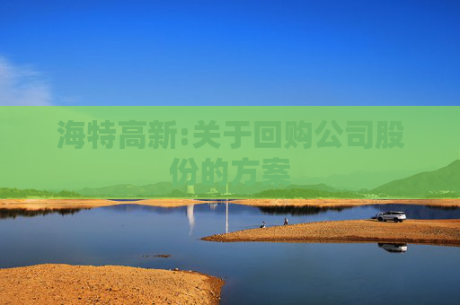 海特高新:关于回购公司股份的方案