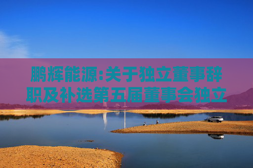鹏辉能源:关于独立董事辞职及补选第五届董事会独立董事的公告