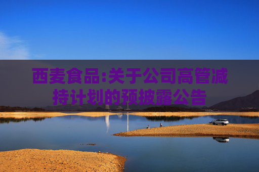 西麦食品:关于公司高管减持计划的预披露公告
