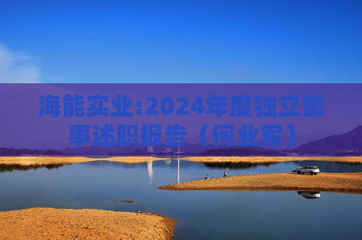 海能实业:2024年度独立董事述职报告（何业军）