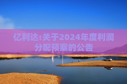 亿利达:关于2024年度利润分配预案的公告  第1张