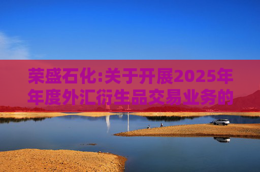 荣盛石化:关于开展2025年年度外汇衍生品交易业务的公告