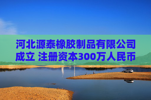 河北源泰橡胶制品有限公司成立 注册资本300万人民币