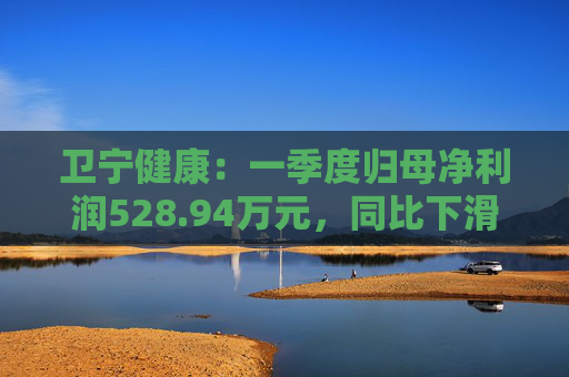 卫宁健康：一季度归母净利润528.94万元，同比下滑68.18%