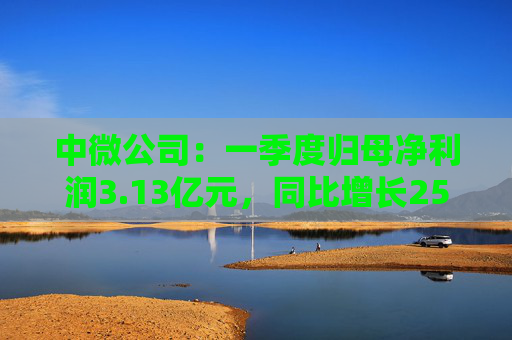 中微公司：一季度归母净利润3.13亿元，同比增长25.67%