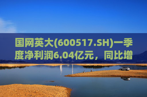 国网英大(600517.SH)一季度净利润6.04亿元，同比增长45.22%