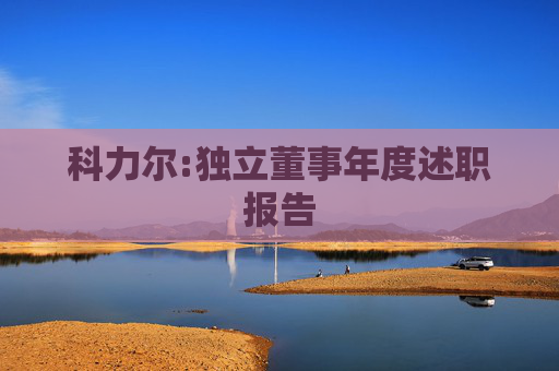 科力尔:独立董事年度述职报告  第1张