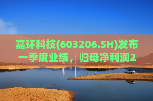 嘉环科技(603206.SH)发布一季度业绩，归母净利润2021.72万元，同比下降21.02%