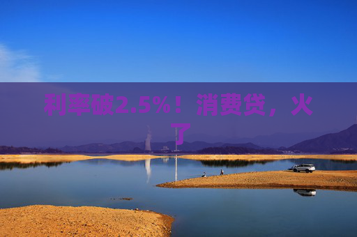利率破2.5%！消费贷，火了  第1张