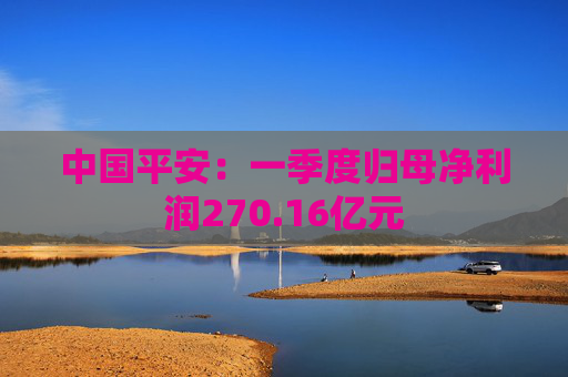 中国平安：一季度归母净利润270.16亿元