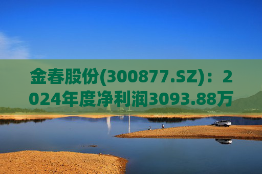 金春股份(300877.SZ)：2024年度净利润3093.88万元 拟10派1元