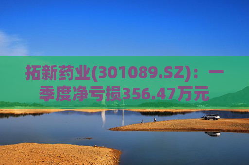 拓新药业(301089.SZ)：一季度净亏损356.47万元