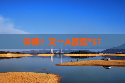 停牌！又一A股遭*ST  第1张
