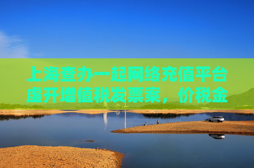 上海查办一起网络充值平台虚开增值税发票案，价税金额逾9亿  第1张