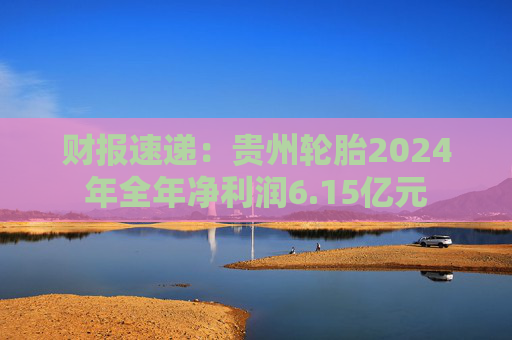 财报速递：贵州轮胎2024年全年净利润6.15亿元