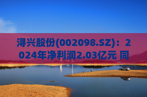 浔兴股份(002098.SZ)：2024年净利润2.03亿元 同比增长64.35%  第1张