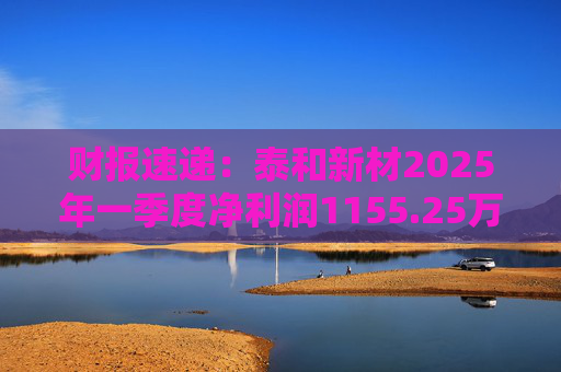 财报速递：泰和新材2025年一季度净利润1155.25万元