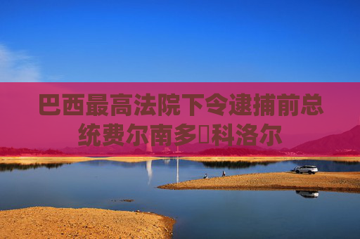 巴西最高法院下令逮捕前总统费尔南多・科洛尔  第1张