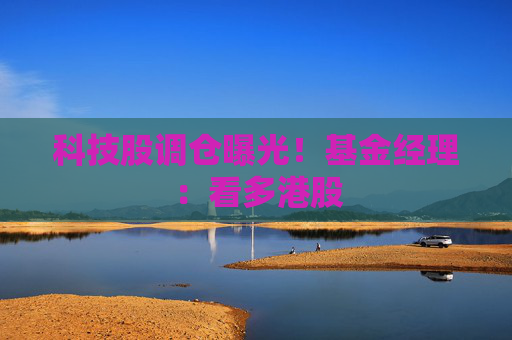 科技股调仓曝光！基金经理：看多港股