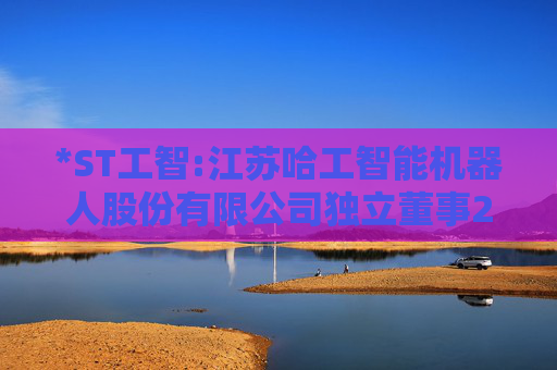 *ST工智:江苏哈工智能机器人股份有限公司独立董事2024年度述职报告（刘世青已离职）