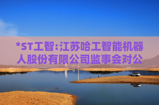 *ST工智:江苏哈工智能机器人股份有限公司监事会对公司2024年度内部控制评价报告的意见