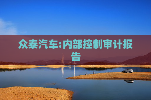 众泰汽车:内部控制审计报告