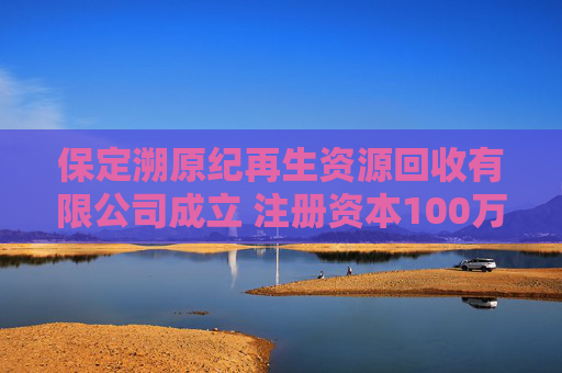 保定溯原纪再生资源回收有限公司成立 注册资本100万人民币
