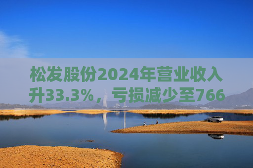 松发股份2024年营业收入升33.3%，亏损减少至7664万元  第1张