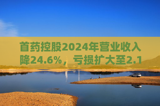 首药控股2024年营业收入降24.6%，亏损扩大至2.12亿元