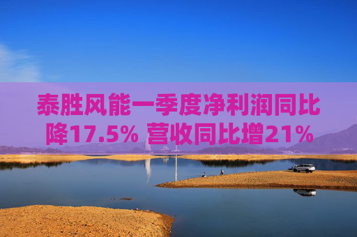 泰胜风能一季度净利润同比降17.5% 营收同比增21%  第1张