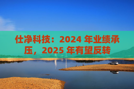 仕净科技：2024 年业绩承压，2025 年有望反转  第1张
